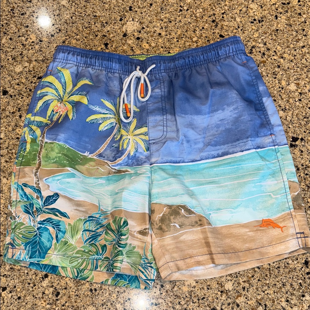 Tommy Bahama Blue and Green Scenic Swim Hybrids
